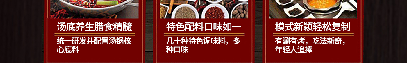 汤底养生腊食精髓：统一研发并配置汤锅核心底料 特色配料口味如一：几十种特色调味料，多种口味 模式新颖轻松复制：又涮又烤，吃法新奇，年轻人追捧